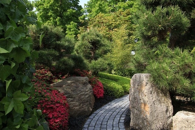 Jardin nécessitant peu d'entretien