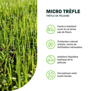 MRS Seeds & Mixtures Micro Trèfle - Trèfle de Pelouse