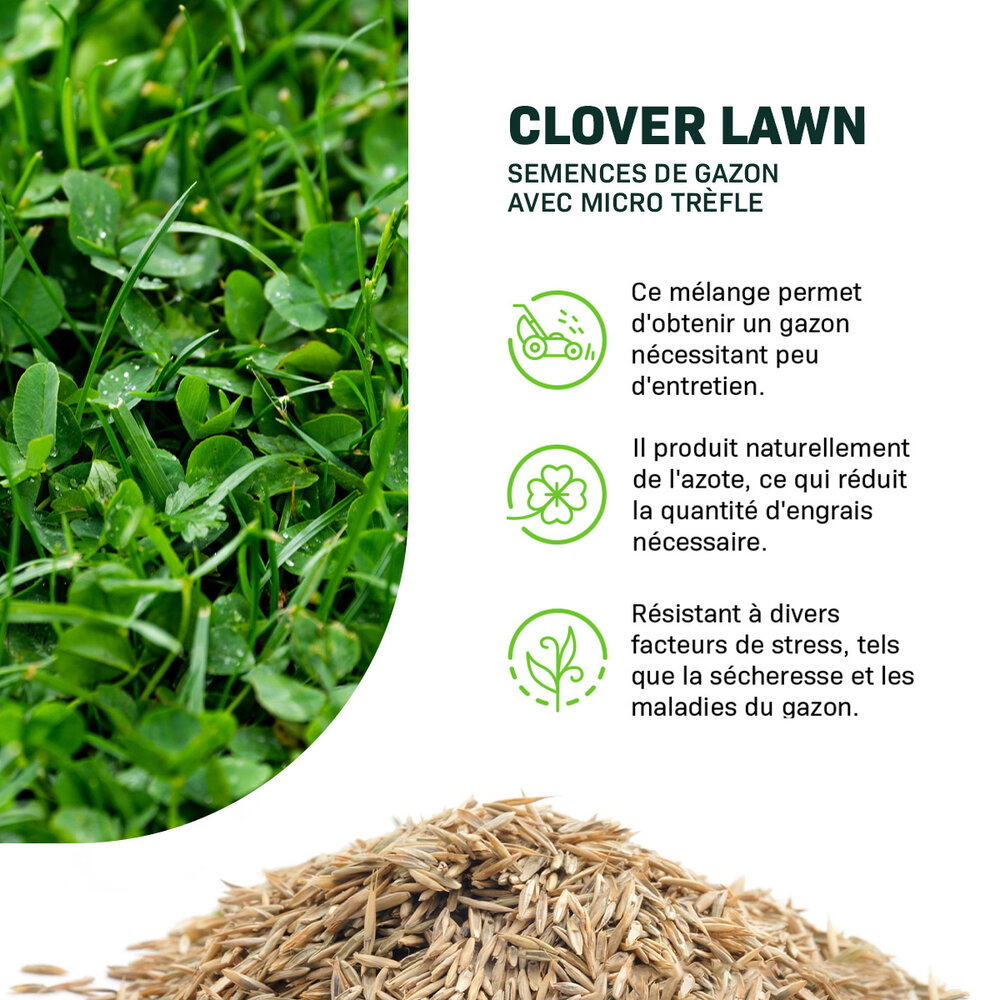 Clover Lawn - Semences de gazon avec micro trèfle