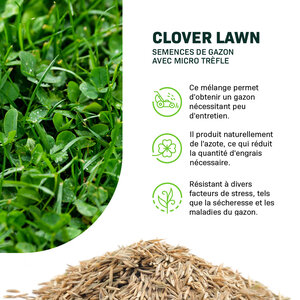 MRS Seeds & Mixtures Clover Lawn - Semences de gazon avec micro trèfle