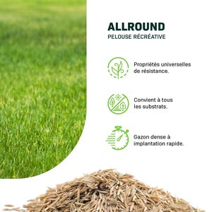 MRS Seeds & Mixtures Allround - Gazon loisirs & Universel MRS Seeds & Mixtures Allround - Gazon loisirs & Universel