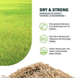 MRS Seeds & Mixtures Dry & Strong - Gazon terrain sec | Sans arrosage