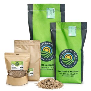 MRS Seeds & Mixtures Dry & Strong - Gazon terrain sec | Sans arrosage