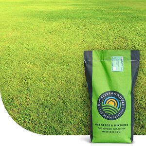 MRS Seeds & Mixtures Dry & Strong - Gazon terrain sec | Sans arrosage
