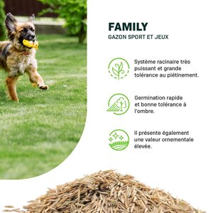 MRS Seeds & Mixtures Family | Gazon Sport et Jeux