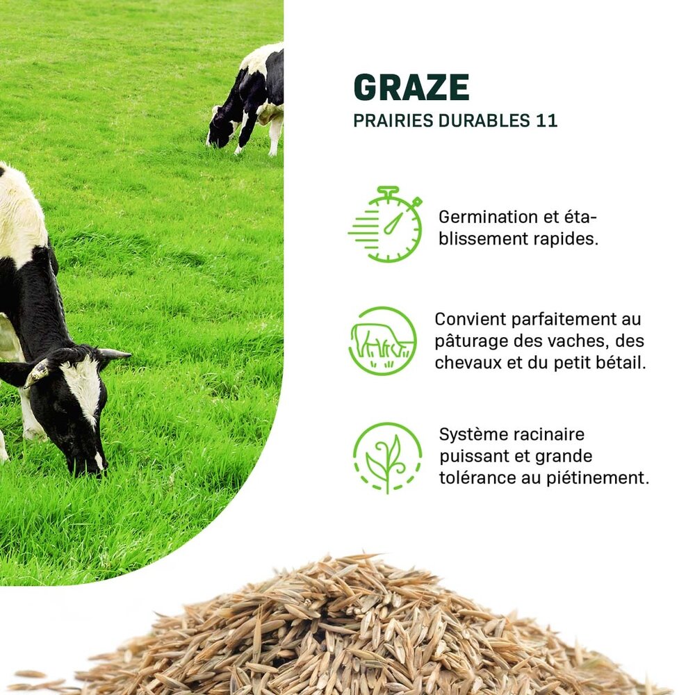 Graze - BG11 | Prairies durables