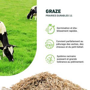 MRS Seeds & Mixtures Graze - BG11 | Prairies durables