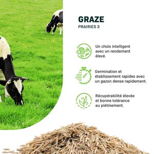 MRS Seeds & Mixtures Graze | Prairies 3 - MRS