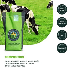 MRS Seeds & Mixtures Graze - BG4 | Pâturage permanent - 15KG