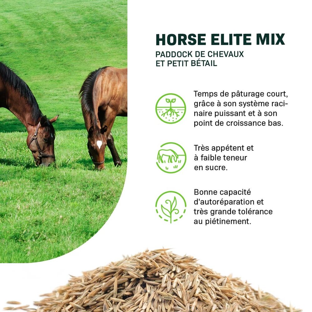 Horse - Elite mix | Paddock de chevaux et petit bétail