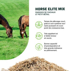 MRS Seeds & Mixtures Horse - Elite mix | Paddock de chevaux et petit bétail