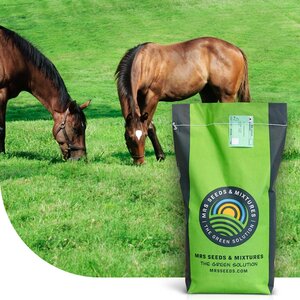 MRS Seeds & Mixtures Cheval - Mélange de récupération | Pâturage de récupération pour chevaux