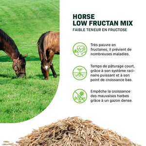 MRS Seeds & Mixtures Horse – Low Fructan mix | Faible teneur en fructose