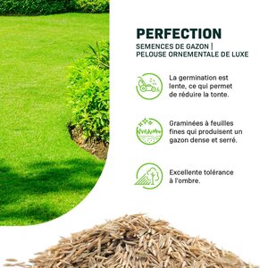 MRS Seeds & Mixtures Perfection - Semences pour gazon d'ornement