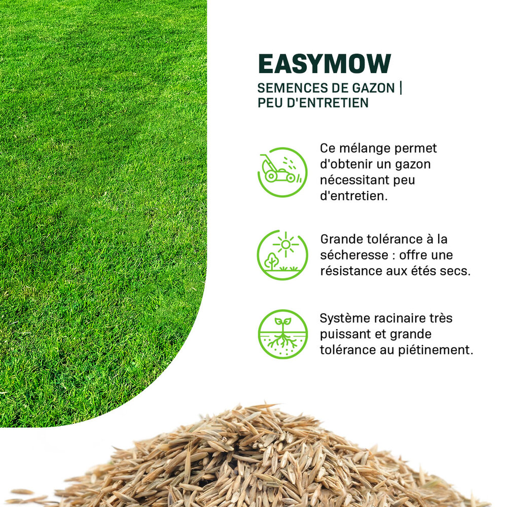 EasyMow - Semences de gazon | Peu d'entretien