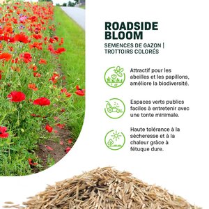 MRS Seeds & Mixtures Roadside Bloom - Semences de Gazon | Trottoirs Colorés