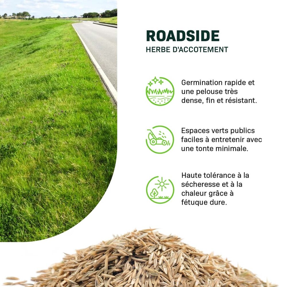 Roadside - Accotements B3 | herbe d'accotement 15KG