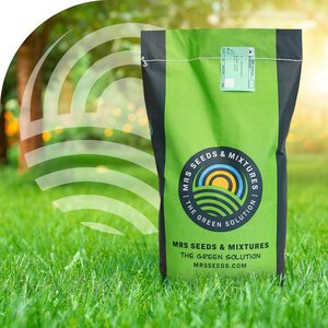 MRS Seeds & Mixtures Turbo Green - Semences de gazon | Récupération ultra-rapide