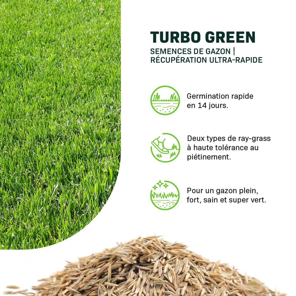 Turbo Green - Semences de gazon | Récupération ultra-rapide
