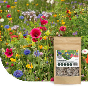 MRS Seeds & Mixtures Mélange de fleurs pour abeilles et bourdons