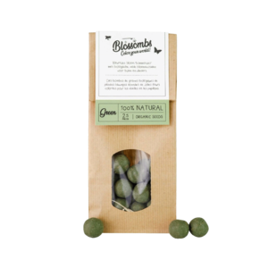 Blossombs Boules de graines | Sac kraft - Vert forêt
