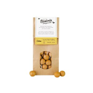 Blossombs Boules de graines | Sac kraft - Ochre