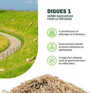 MRS Seeds & Mixtures Digues 1 - 15 kg | Herbe savoureuse pour le pâturage