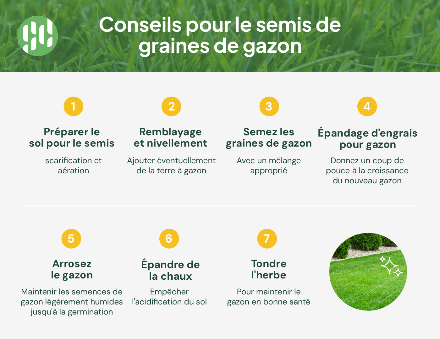 conseils : semis de gazon