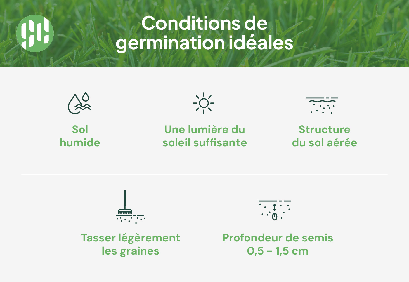 Semis de gazon : conditions adéquates