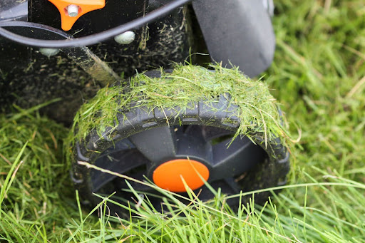 herbe mouillée