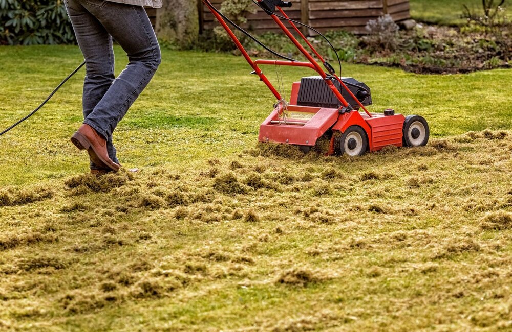 Quand et comment scarifier votre gazon ? Quand et comment scarifier votre gazon ?