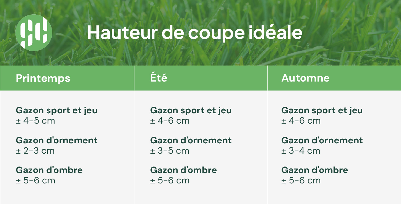 hauteur de tonte idéale