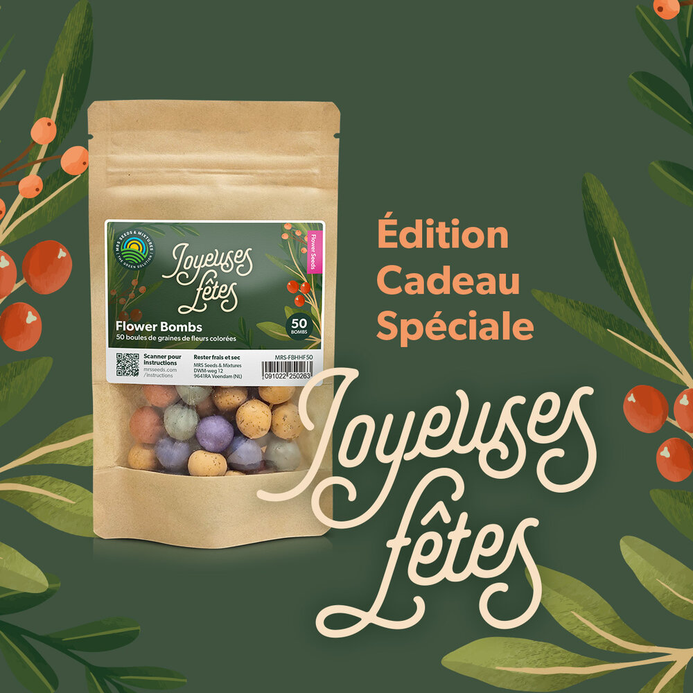 Flower Bombs - Bombes de graines mix - Joyeuses fêtes ! Flower Bombs - Bombes de graines mix - Joyeuses fêtes !