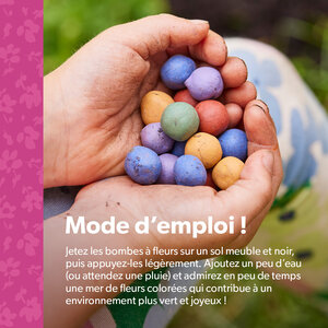 MRS Seeds & Mixtures Flower Bombs - Bombes de graines mix - Originals