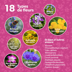 MRS Seeds & Mixtures Flower Bombs - Bombes de graines mix - Félicitations !