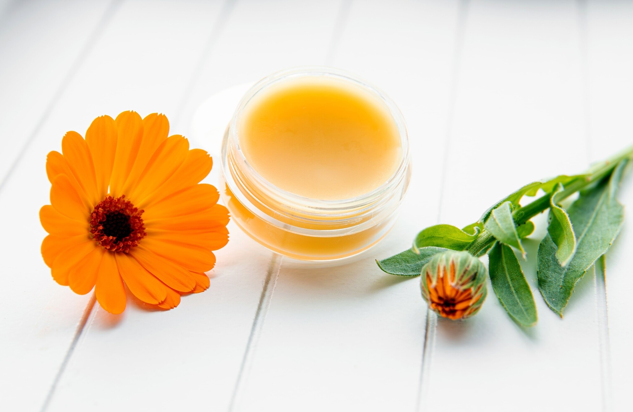 propriétés médicinales du souci