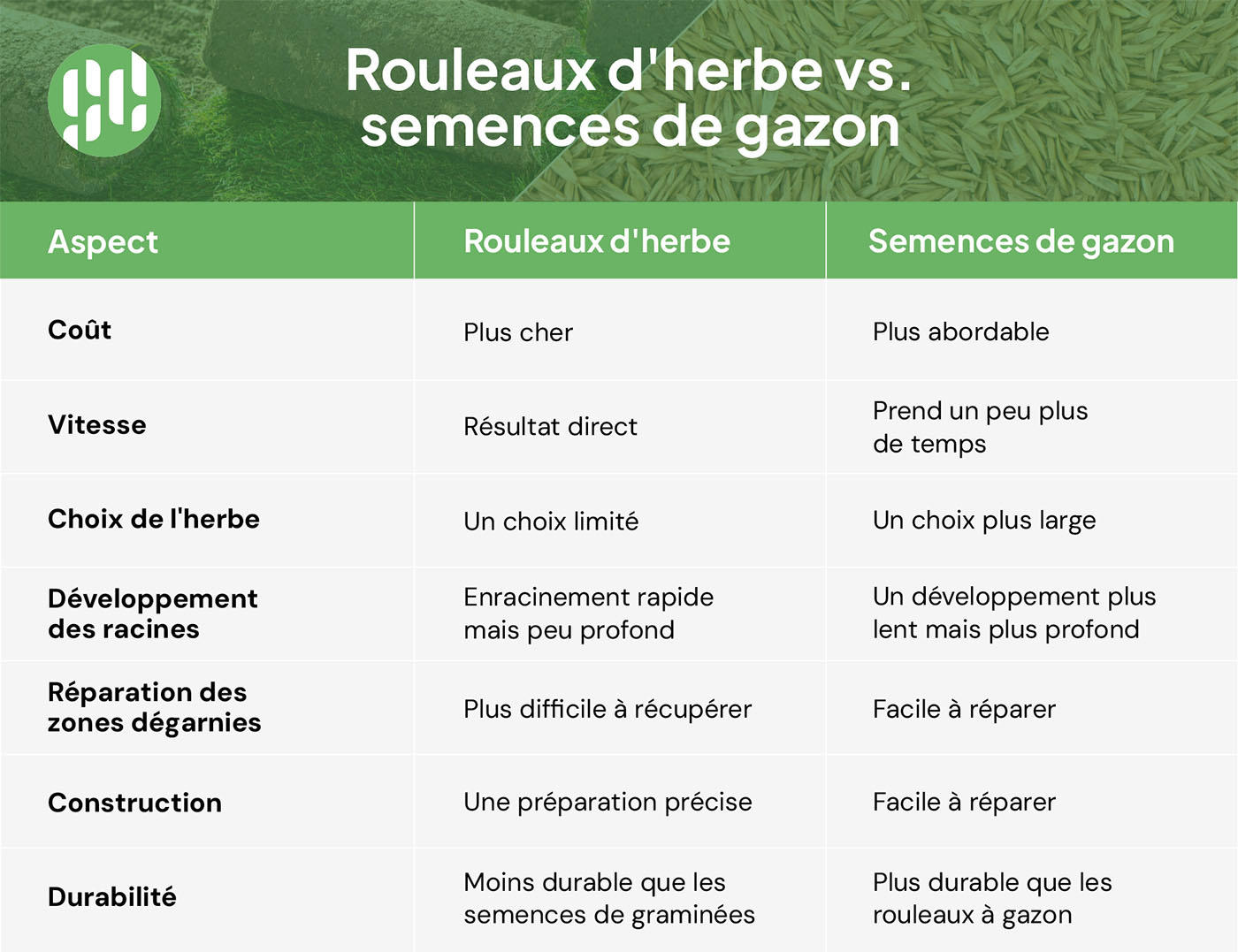 Rouleaux d'herbe vs semences de gazon