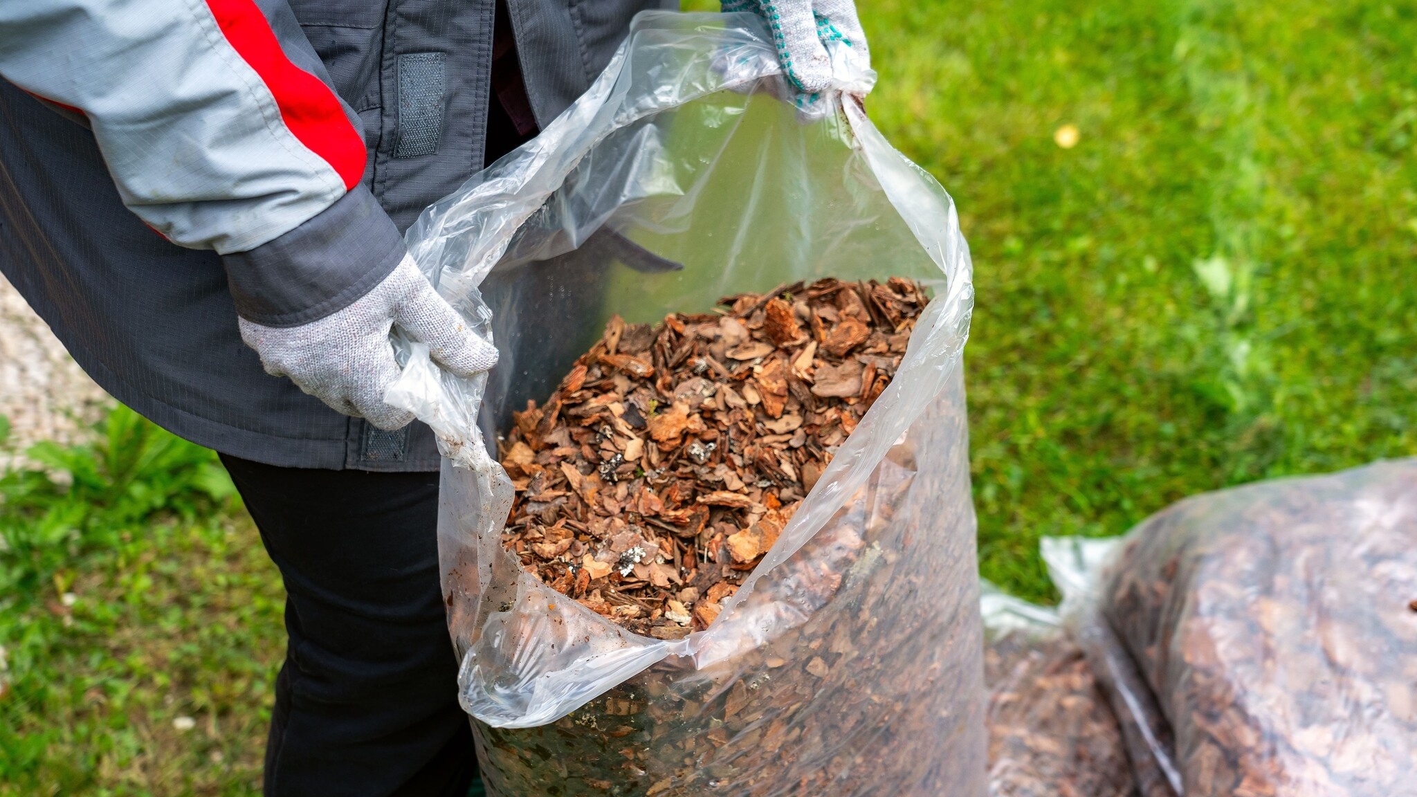 broyage des feuilles à l'automne
