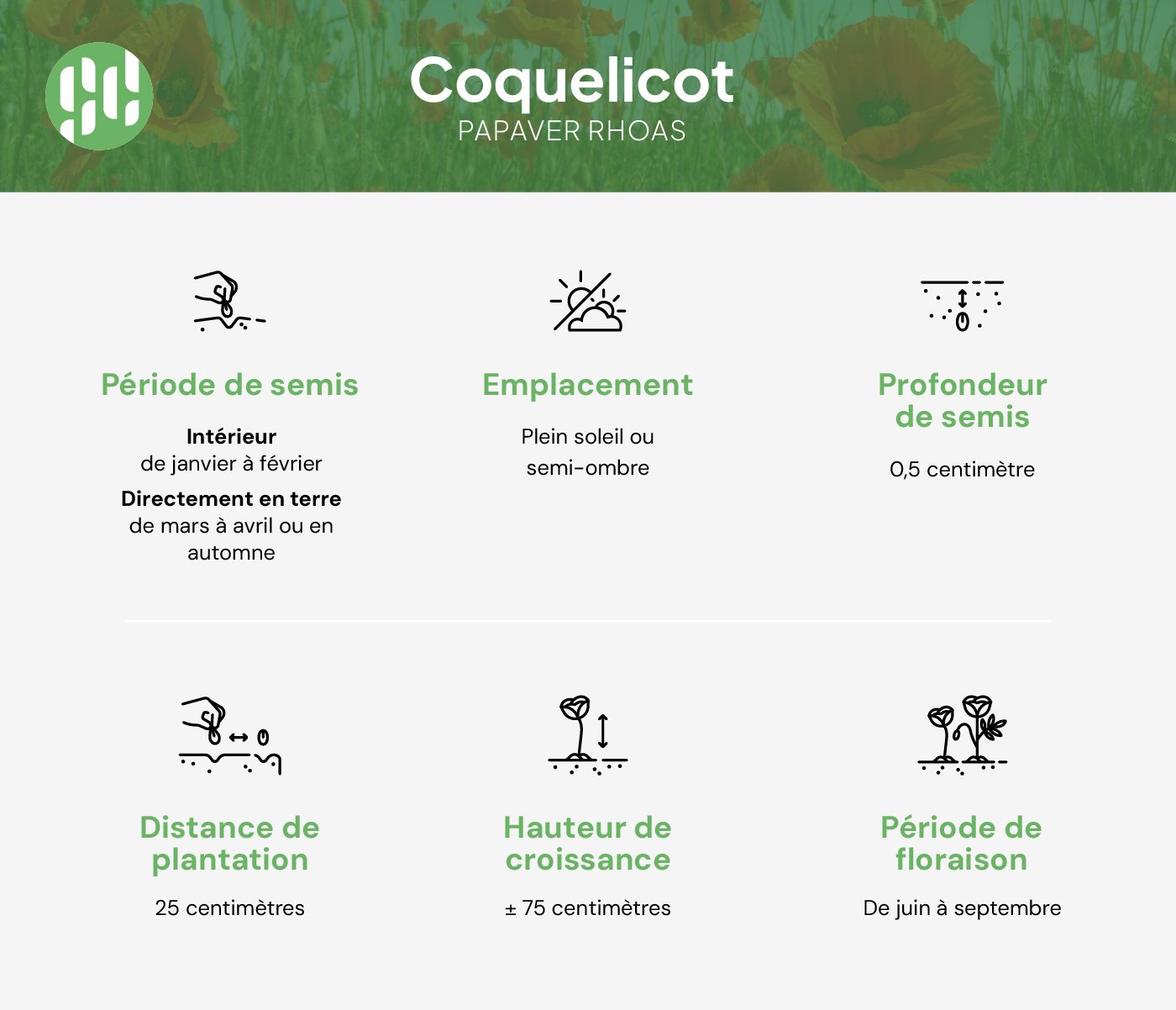 semer des coquelicots