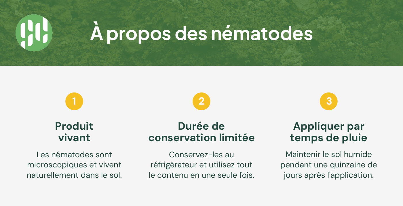 à propos des nematodes