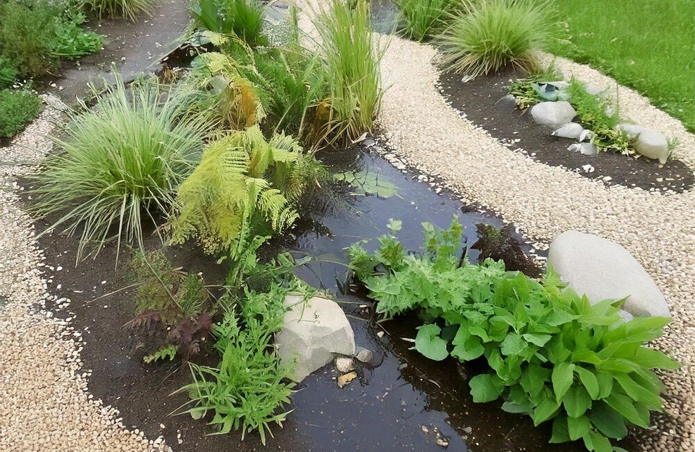 Aménagement d’un wadi dans le jardin : une solution écologique pour gérer l’eau de pluie