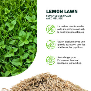 MRS Seeds & Mixtures Lemon Lawn - Pelouse Anti-Moustiques MRS Seeds & Mixtures Lemon Lawn - Pelouse Anti-Moustiques