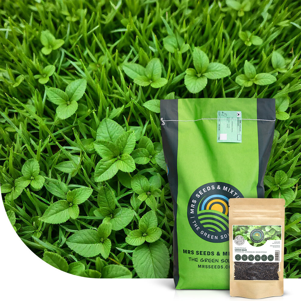 Lemon Lawn - Pelouse Anti-Moustiques Lemon Lawn - Pelouse Anti-Moustiques