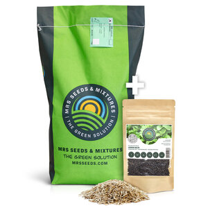 MRS Seeds & Mixtures Lemon Lawn - Pelouse Anti-Moustiques MRS Seeds & Mixtures Lemon Lawn - Pelouse Anti-Moustiques