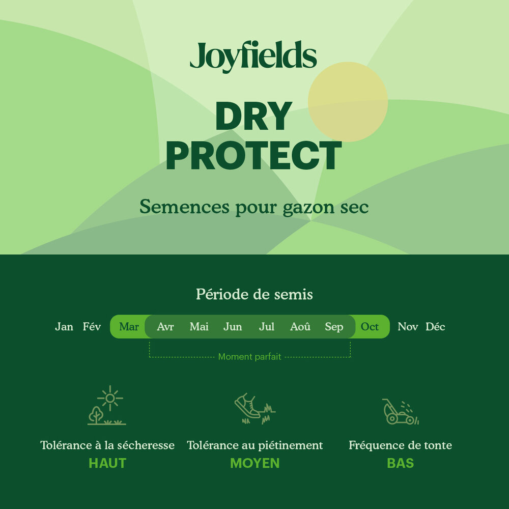 Dry Protect - Semence gazon terrain sec Dry Protect - Semence gazon terrain sec