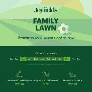Joyfields Family Lawn – Semences de gazon sport et jeux
