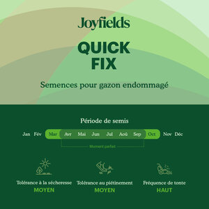 Joyfields Quick Fix – Semences de gazon de réparation