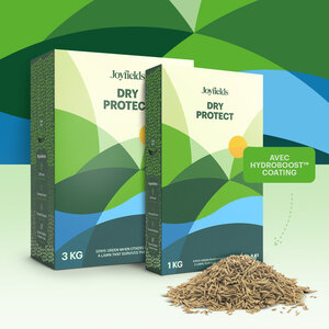 Joyfields Dry Protect - Semence gazon terrain sec Joyfields Dry Protect - Semence gazon terrain sec