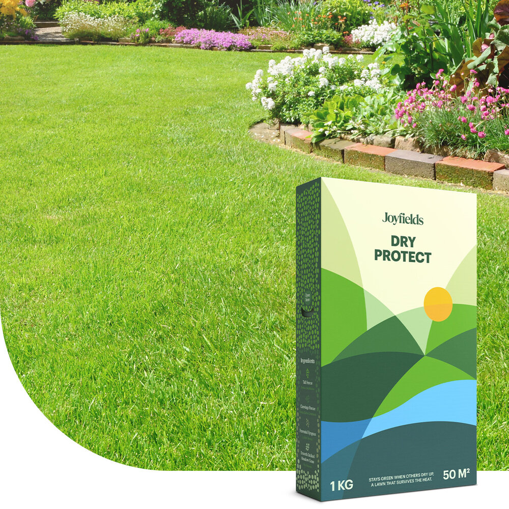 Dry Protect - Semence gazon terrain sec Dry Protect - Semence gazon terrain sec