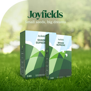 Joyfields Shade Supreme - Semences de gazon pour l’ombre